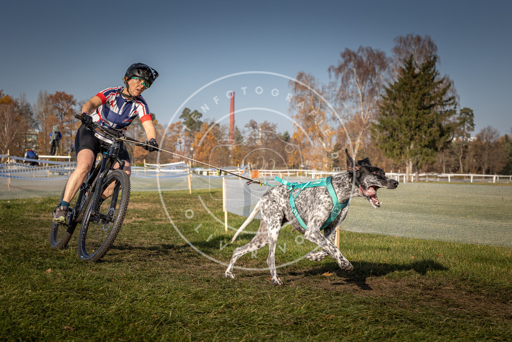 CaniXpix_0L8A7655 | Hundefotografie, Tierfotograf, Pfotenfotografie, Fotoshooting Hund, Hunde Portrait, Hundesport, Hundeportraits, Heideshooting, Hunde, Sportfotograf, Hundefotograf, Turnierhundsport, THS,  - Realisiert mit Pictrs.com