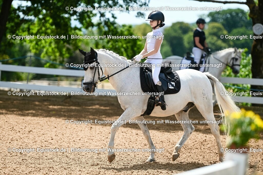 20230715_09_Dressur-WB_0032 | equistock