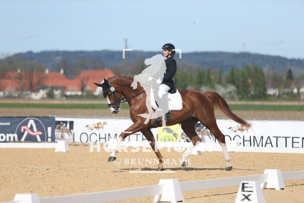 AS8V3124 | Willkommen bei Brunnmayr - Design & Fotografie – Ihrem Spezialisten für Reitturniere und Pferdeveranstaltungen in Oberösterreich, Salzburg und Bayern! Seit über 17 Jahren sind wir leidenschaftlich dabei.