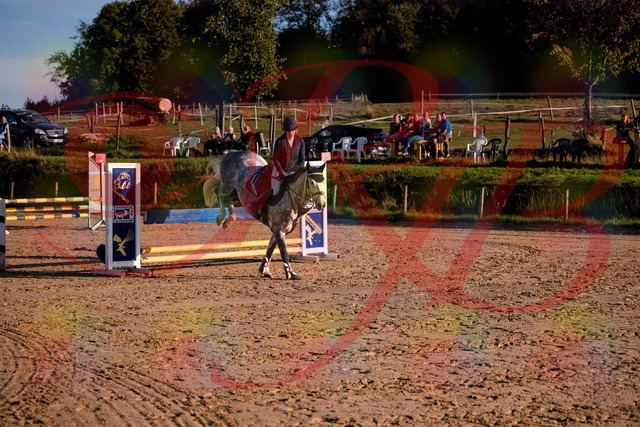 2026_10_03_Siefer-Hof_171434_Z81_12058344 | Professionelle Reitsport-, Turnier- und Eventfotografie von Robert Broda. Galerien mit ausgewählten und bearbeiteten Bildern direkt online ansehen und bestellen.