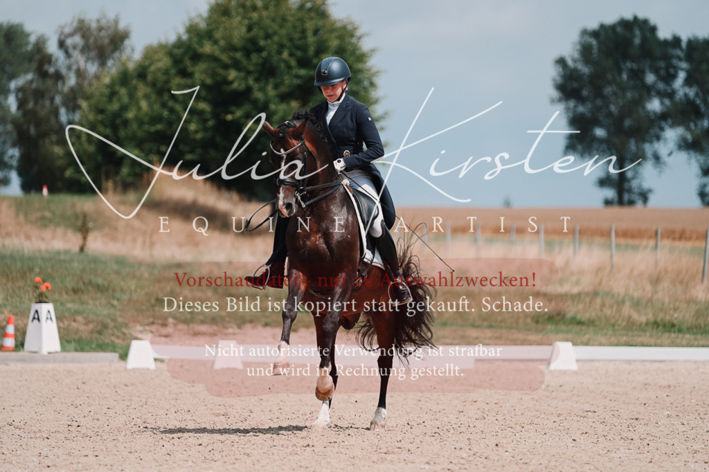 DSC_3949 | Pferde- und Turnierfotografie in Westsachsen. Pferdeportraits, Auftragszeichnungen und intuitive Kunst.