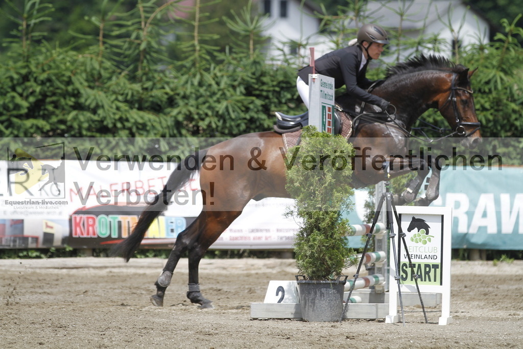 _MG_5186 | equestrian-live-com