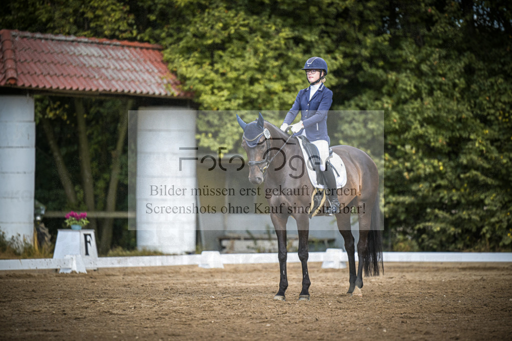 DOS_4470 | Entdecke hochwertige Reitturnierfotos von Foto Oger. Professionell, emotional und authentisch – jetzt Lieblingsmomente im Shop bestellen.Deutschlandweite Turnierfotografie. - Realisiert mit Pictrs.com