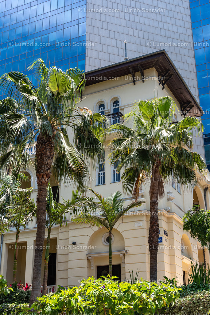 10972-10171 - Tel Aviv - Rothschild Boulevard | Stockfoto und Bilderpool mit Bildmaterial aus Deutschland, dem Harz, Halberstadt, Quedlinburg, Wernigerode und weltweit. Qualitativ hochwertige und professionelle Fotos anschauen und kaufen. - Realisiert mit Pictrs.com