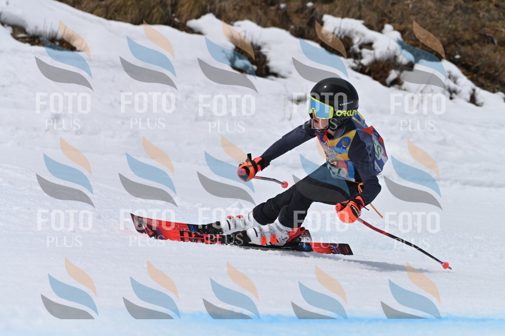 BGV_4241 | holidayphoto