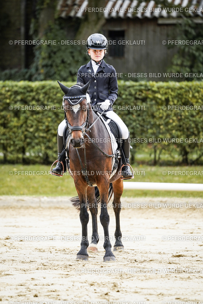 DSC05704 | Pferdegrafie