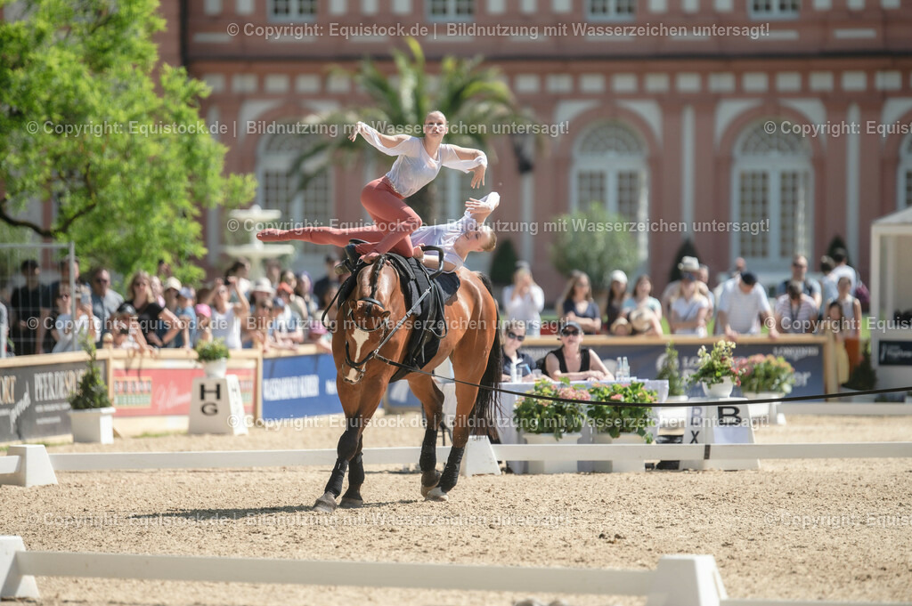 20230528_Voltigieren_NASPA_0369 | equistock
