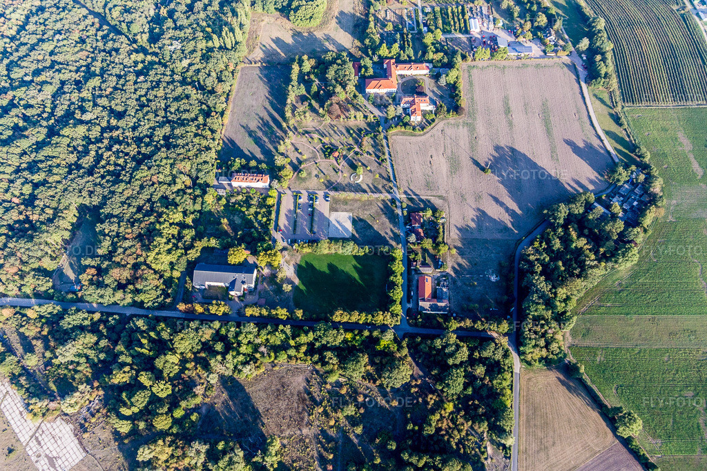 Luftbild: Campus Lachen Diakonissen im Ortsteil Speyerdorf in Neustadt im Bundesland Rheinland-Pfalz in Deutschland. Foto: IMG_111831.jpg vom 16.09.2018 durch Werner Riehm/FLY-FOTO.de