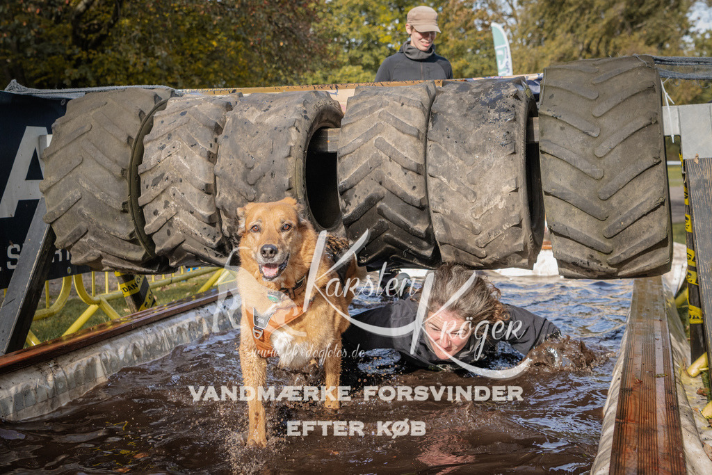 1406_ZZ94023 | kk-dogfotos