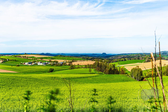 DSC_1451-10 | Shop für Prints Landschaftsfotografie Sächsische Schweiz Naturfotografie in Thüringen Fotos vom Findlingspark Nochten Kloster Sankt Marienstern Bilder Festung Königstein PanoramaRhododendronpark Kromlau FotogalerSchleswig-Holstein Küstenlandschaften
