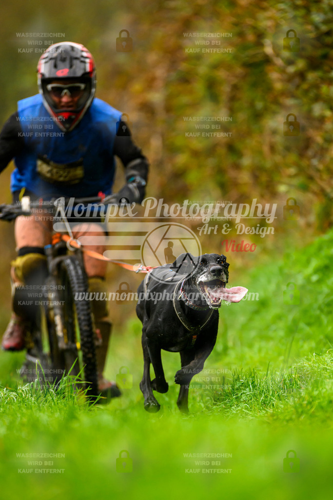 MompixPhotography_20TSB_E8_Bike-69 | PayLife