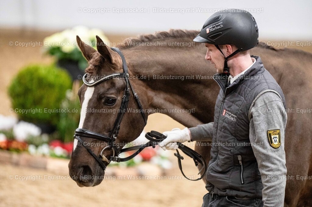 20260307_Hengstvorstellung-Marbach_0553 | equistock