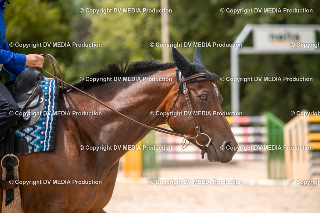 EWP_6588 | dv-media-shop - Realisiert mit Pictrs.com