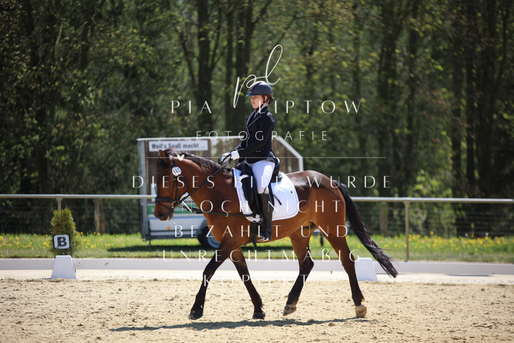 IMGT0775 | pl-fotografie