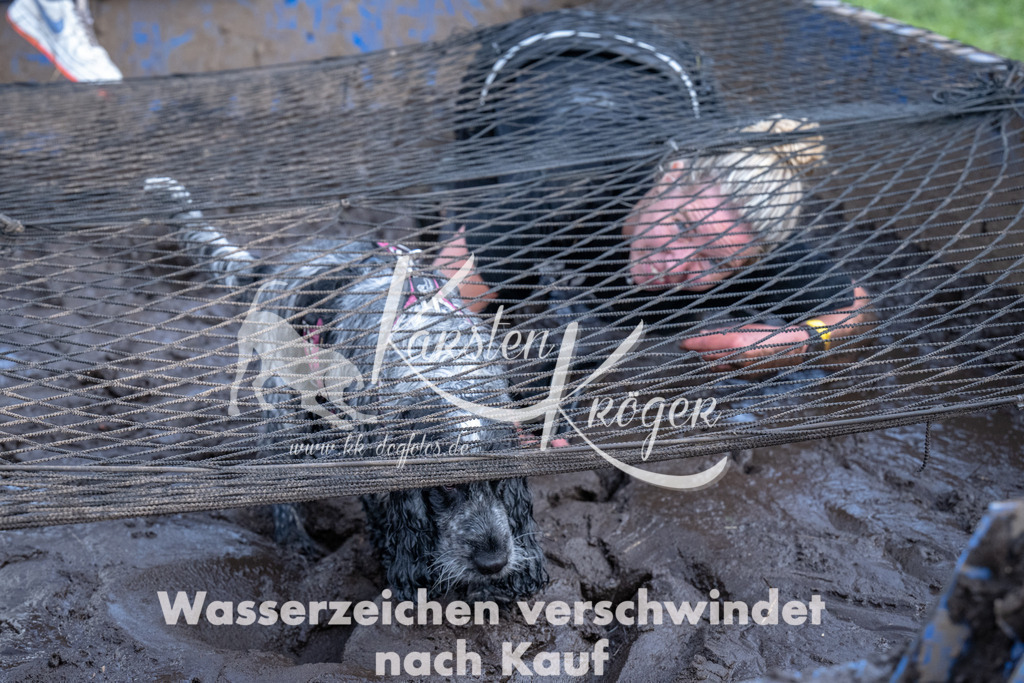 1443_ZZ93357 | kk-dogfotos