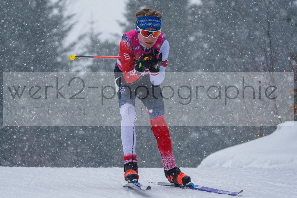 DSC Arber | Bayerischer Wald am 9. bis 12. Februar 2023
