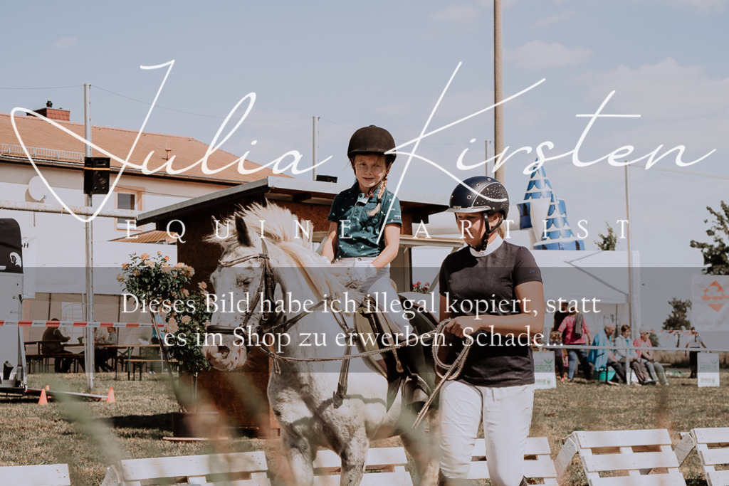 DSC_4532 | Pferde- und Turnierfotografie in Westsachsen. Pferdeportraits, Auftragszeichnungen und intuitive Kunst.