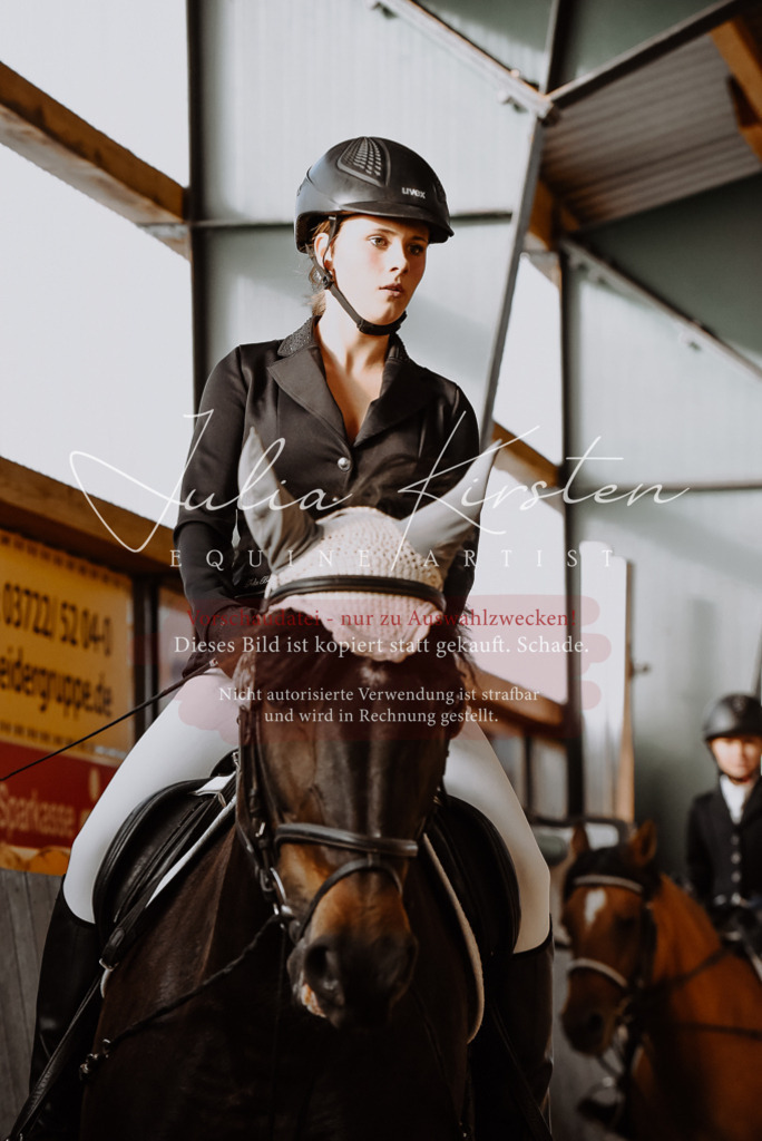 DSC_7574 | Pferde- und Turnierfotografie in Westsachsen. Pferdeportraits, Auftragszeichnungen und intuitive Kunst.