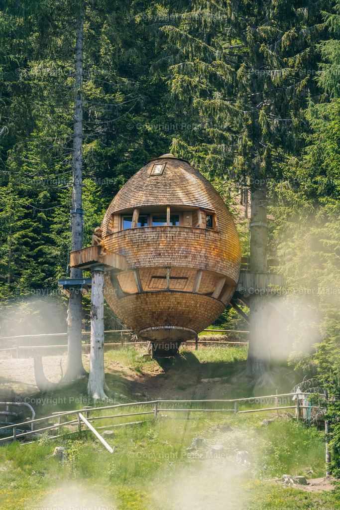 Malga_Priu_Karnische_Milchstrasse_2020-5 | piet_flosse
