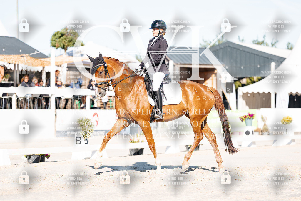 CK907168 | Turnierfotografie Pferdefotografie Trier Rheinland-Pfalz Pferdesport Reitsport Tierfotografie Sportfotografie Pferdevideo Pferdevideografie Equestrianvideography equestrianphotography  - Realisiert mit Pictrs.com