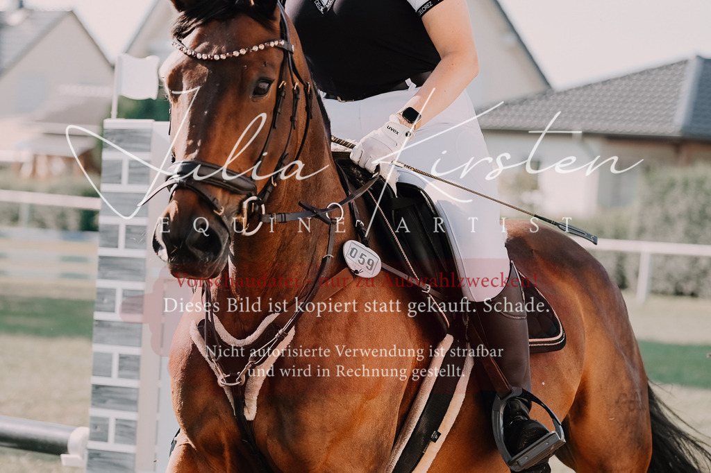 DSC_4586 | Pferde- und Turnierfotografie in Westsachsen. Pferdeportraits, Auftragszeichnungen und intuitive Kunst.