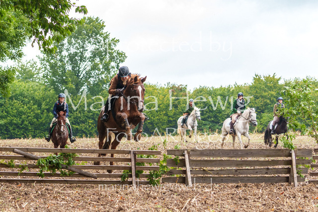 Jagd Kletkamp 26-03072_MarinaHewig | Fotografie, FotoArt, PferdesportArt, Pferdesportfotografie, Landschaftsfotografie, Reisefotografie, Reise, Pferde - Realisiert mit Pictrs.com