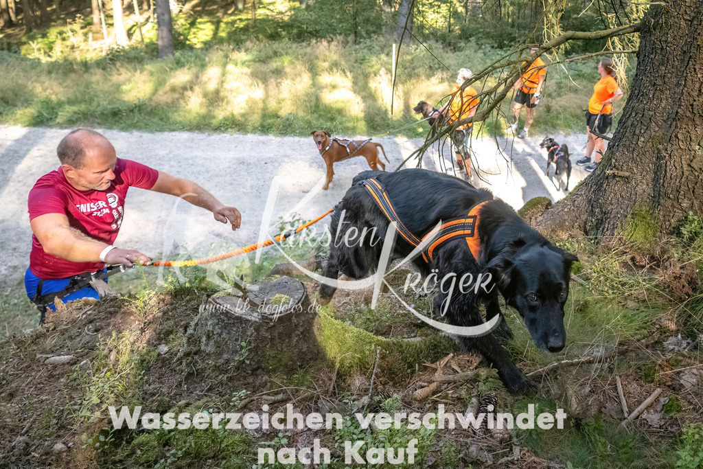 1056_ZZ93724 | kk-dogfotos