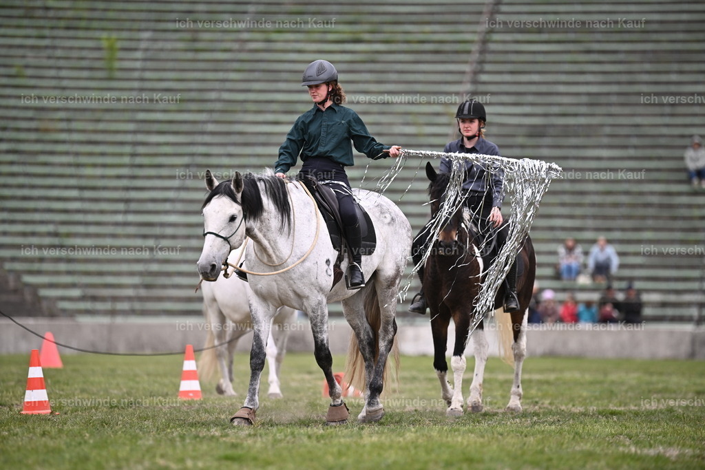 PI26_Show_Sara_Landvogt_226_1601.JPG | working equitationturnier fotograf videograf stoibphotography marixx film working equitation deutschland reitsport turnierfotografie eventfotografie equestrian events
