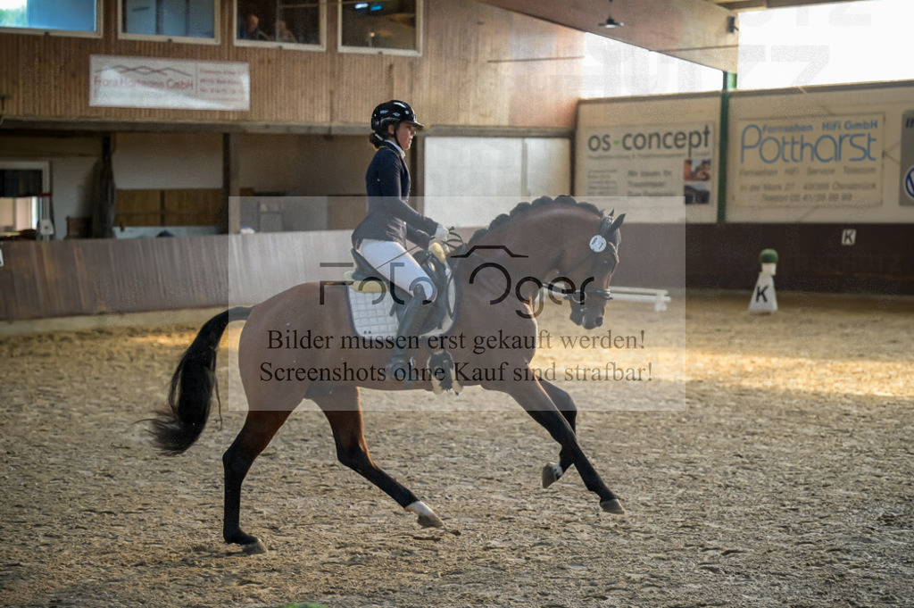 Reitturnier Voxtrup | Entdecke hochwertige Reitturnierfotos von Foto Oger. Professionell, emotional und authentisch – jetzt Lieblingsmomente im Shop bestellen.Deutschlandweite Turnierfotografie. - Realisiert mit Pictrs.com