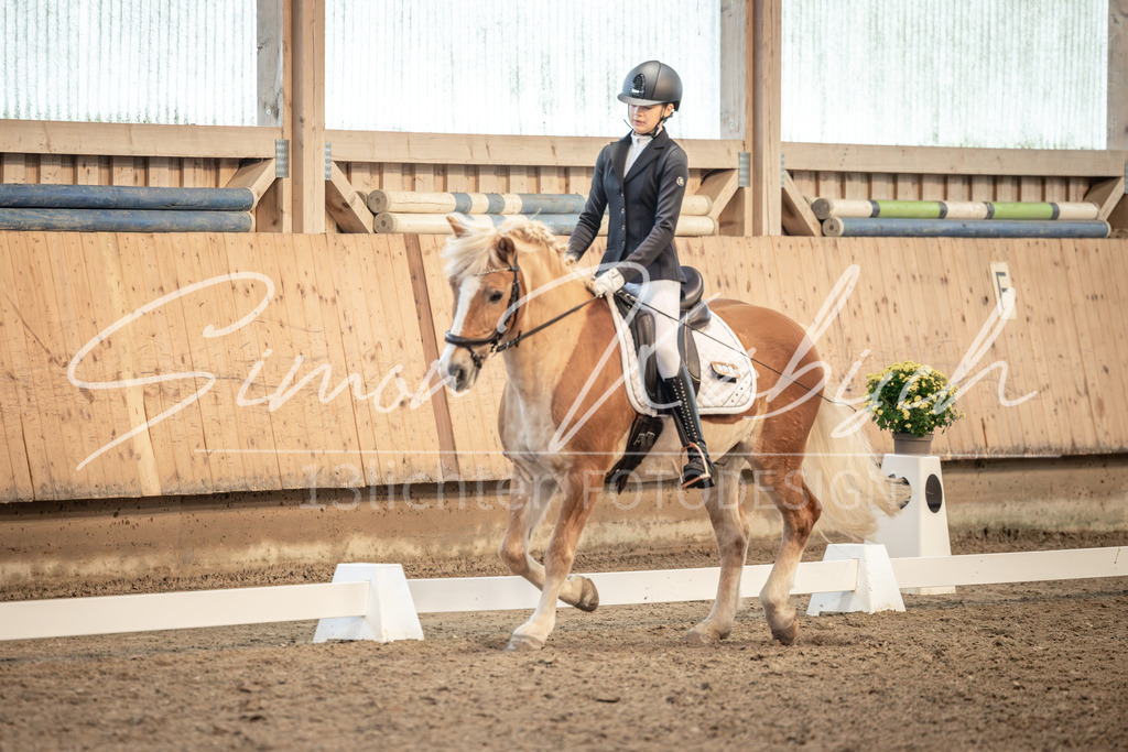 20251011-_3LI6565 | Tierfotografie Pferde, Hunde, Katzen, Haustiere.
Turnierfotografie Reitturniere, Reiten, Springreiten, Dressur in Hanau, dem Main-Kinzig-Kreis und dem Rhein-Main- Gebiet um Frankfurt