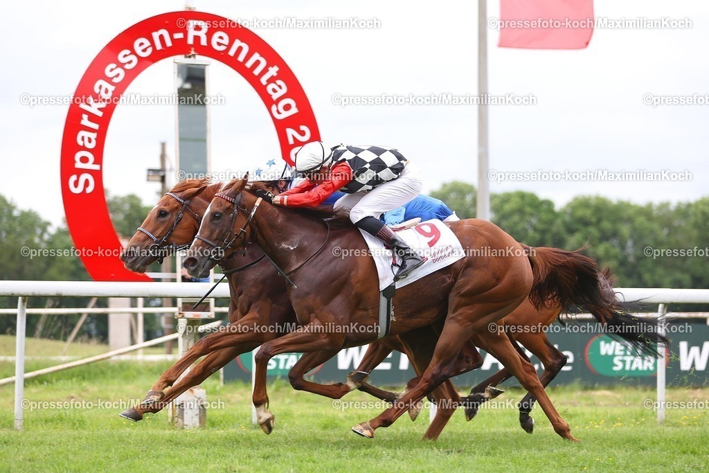 Do29052599001 | Calyx Rose siegt unter Rene Piechulek im Grosser Preis der Sparkasse Dortmund - Listenrennen am 29.05.2025 Renntag in Dortmund. Copyright by Marc Ruehl - Veroeffentlichung nur gegen Honorar (zzgl.MwSt), Namensnennung und Beleg, Bank Routing Number: BIC GENODED1PAF, Bank Account Number: IBAN DE04 3706 2600 1201 6180 17, Steuer-Nr.: 203/5266/0306, Ust_Id_Nr.: De 122081417, Zur Gaulshuette 29, 50181 Bedburg, Phone: +49-(0)2272-83351, www.marcruehl.com, info@marcruehl.com, No Model Release, Abtretung von Persoenlichkeitsrechten der abgebildeten Person/Personen liegen nicht vor. Speichern in Bilddatenbanken oder Vervielfaeltigung ist ohne schriftliche Genehmigung nicht gestattet.