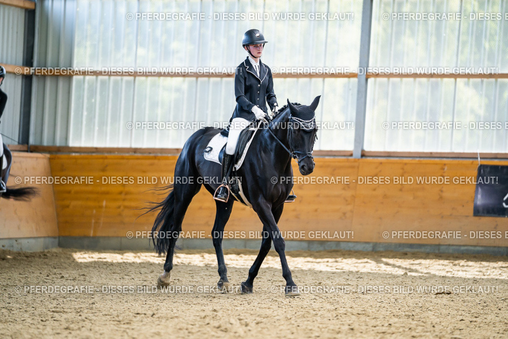 DSC05921 | Pferdegrafie