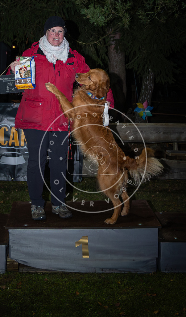 Pfotenfotografie_0L8A1932 | Hundefotografie, Tierfotograf, Pfotenfotografie, Fotoshooting Hund, Hunde Portrait, Hundesport, Hundeportraits, Heideshooting, Hunde, Sportfotograf, Hundefotograf, Turnierhundsport, THS,  - Realisiert mit Pictrs.com