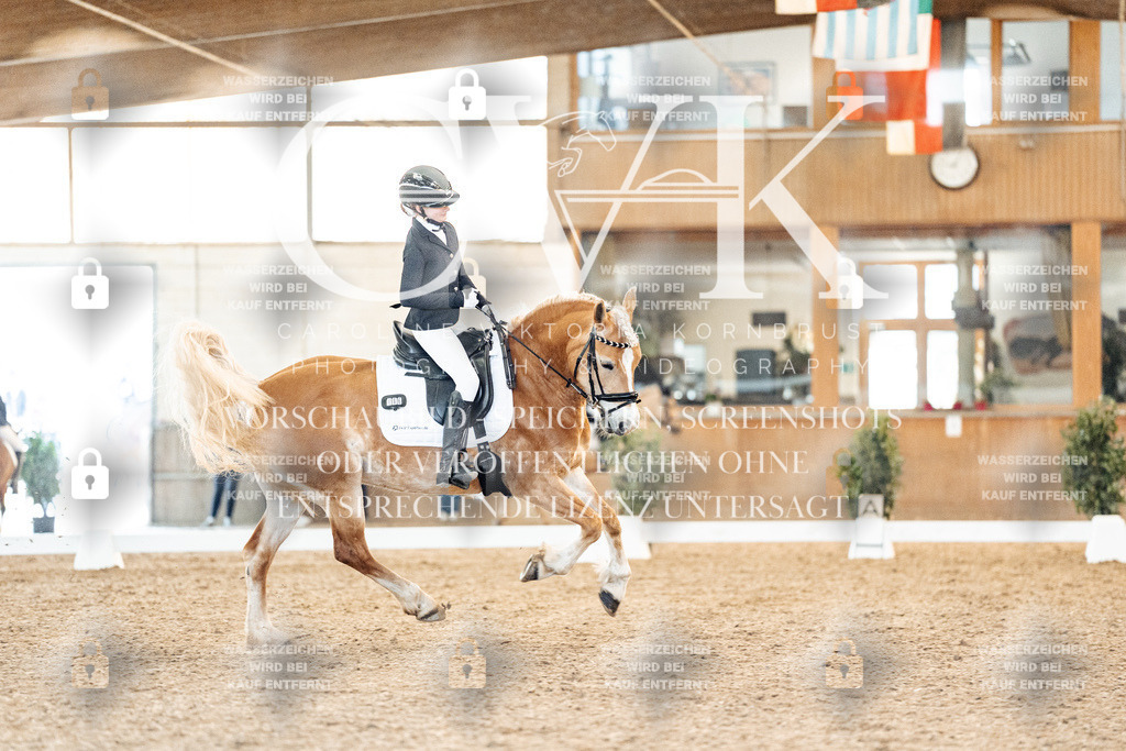 CK907394 | Turnierfotografie Pferdefotografie Trier Rheinland-Pfalz Pferdesport Reitsport Tierfotografie Sportfotografie Pferdevideo Pferdevideografie Equestrianvideography equestrianphotography  - Realisiert mit Pictrs.com