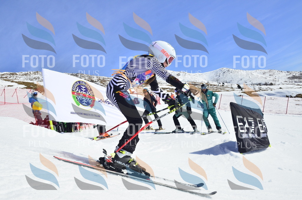 _ELE0570 | holidayphoto