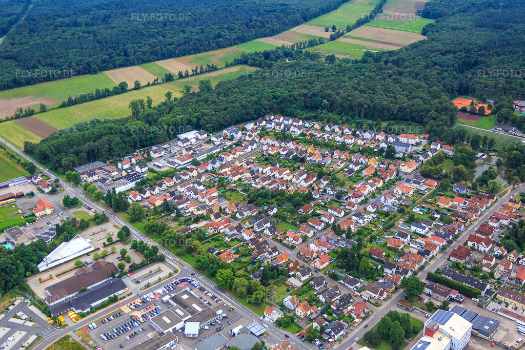 Luftbild: Siedlung Gartenstadt von Nordosten in Kandel im Bundesland Rheinland-Pfalz in Deutschland. Foto: IMG_092194.jpg vom 16.07.2016 durch Werner Riehm/FLY-FOTO.de