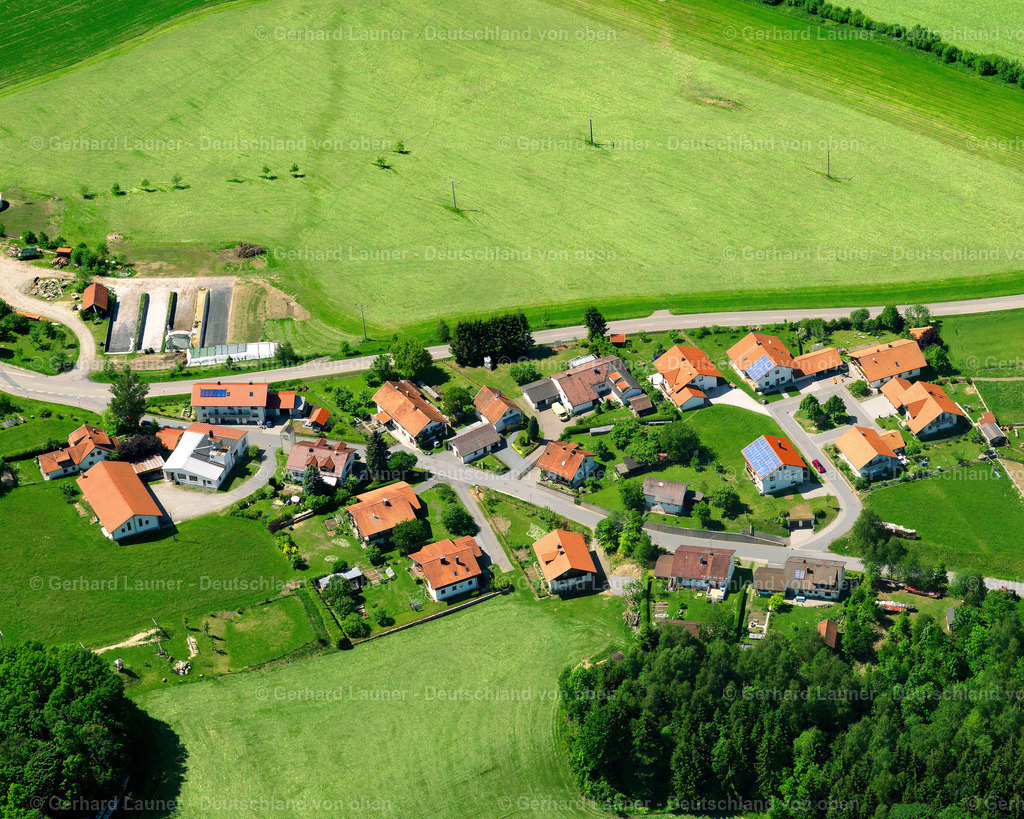 2724239 | Böhmzwiesel