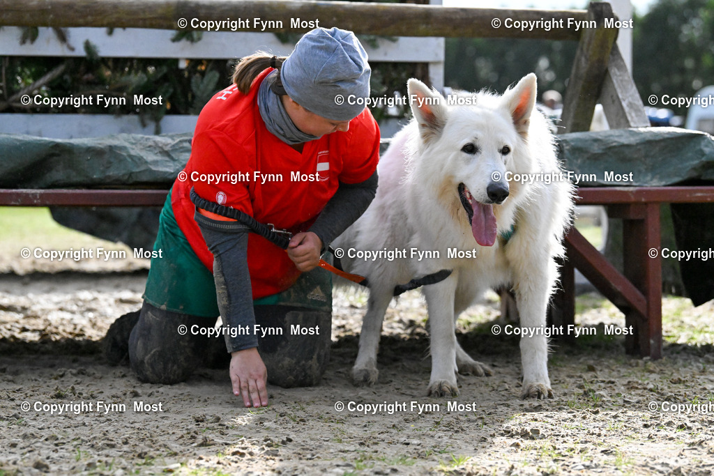 DSC_6275 | Hallo und herzlich Willkommen auf meiner Shop-Seite Fynn Most.

Ich wünsche Dir viel Spaß beim stöbern durch die Bilder, wenn Du Fragen hast oder Bilder vermisst, kannst du mir gerne eine Nachricht schreiben. - Realisiert mit Pictrs.com