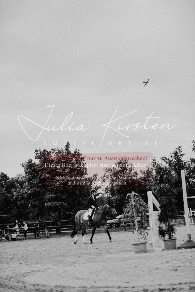 DSC_8345 | Pferde- und Turnierfotografie in Westsachsen. Pferdeportraits, Auftragszeichnungen und intuitive Kunst.