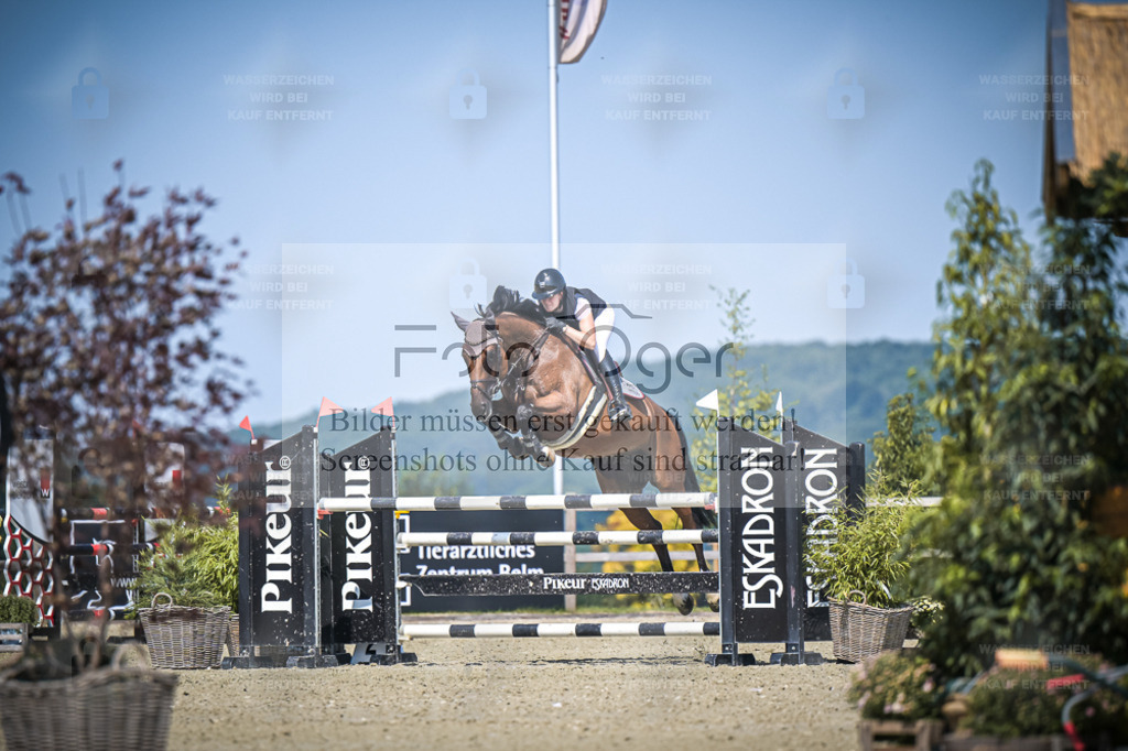 DOS_2303 | Entdecke hochwertige Reitturnierfotos von Foto Oger. Professionell, emotional und authentisch – jetzt Lieblingsmomente im Shop bestellen. - Realisiert mit Pictrs.com