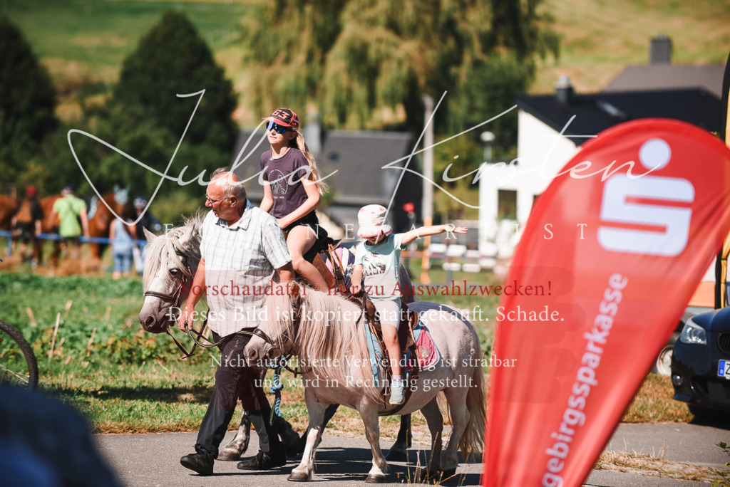 DSC_2677 | Pferde- und Turnierfotografie in Westsachsen. Pferdeportraits, Auftragszeichnungen und intuitive Kunst.