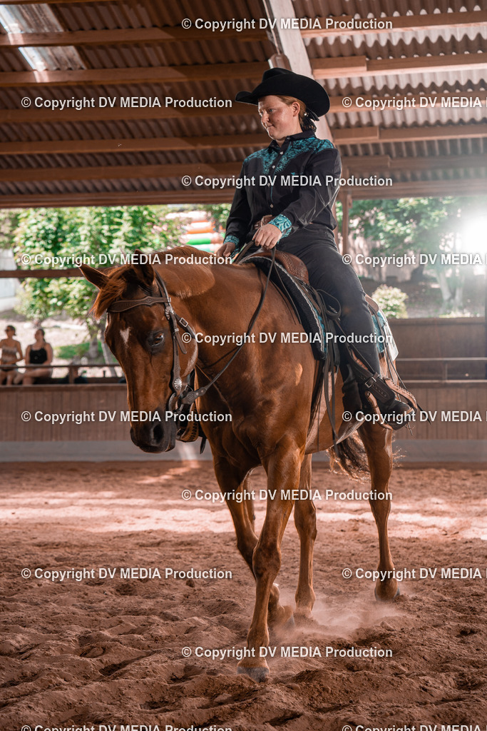 NE100591 | dv-media-shop - Realisiert mit Pictrs.com