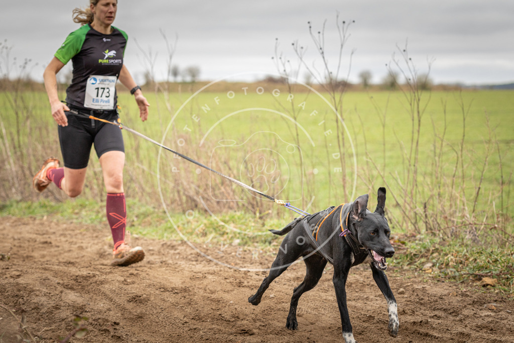 DV3A1995 | Hundefotografie, Tierfotograf, Pfotenfotografie, Fotoshooting Hund, Hunde Portrait, Hundesport, Hundeportraits, Heideshooting, Hunde, Sportfotograf, Hundefotograf, Turnierhundsport, THS,  - Realisiert mit Pictrs.com