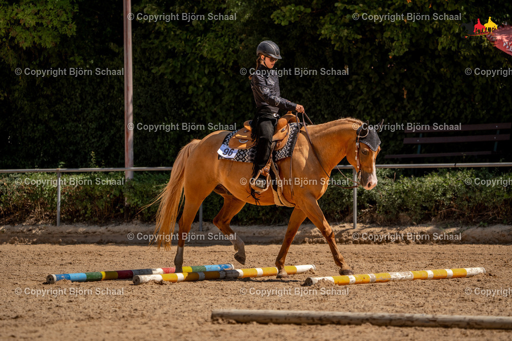 LMS05221 | BS-foto