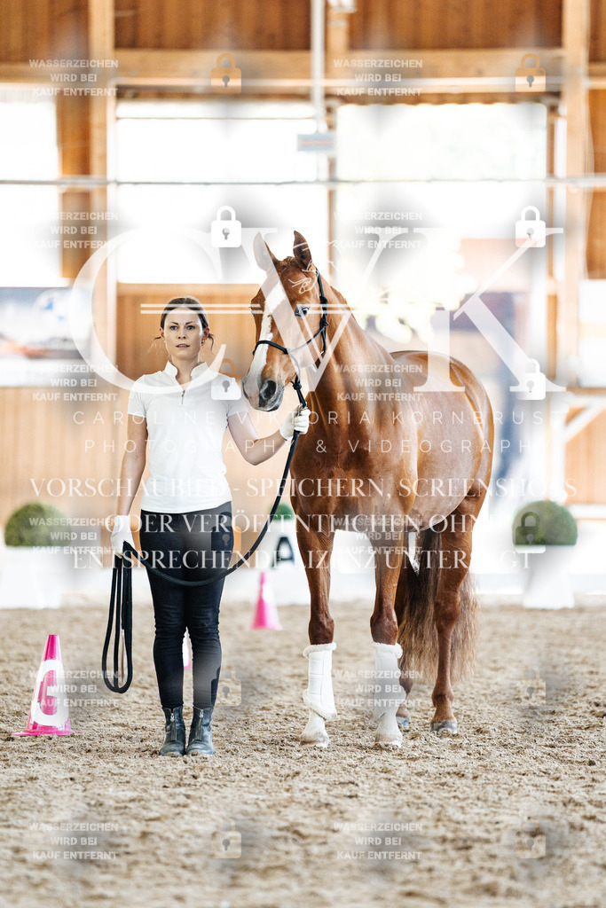CK907638 | Turnierfotografie Pferdefotografie Trier Rheinland-Pfalz Pferdesport Reitsport Tierfotografie Sportfotografie Pferdevideo Pferdevideografie Equestrianvideography equestrianphotography  - Realisiert mit Pictrs.com