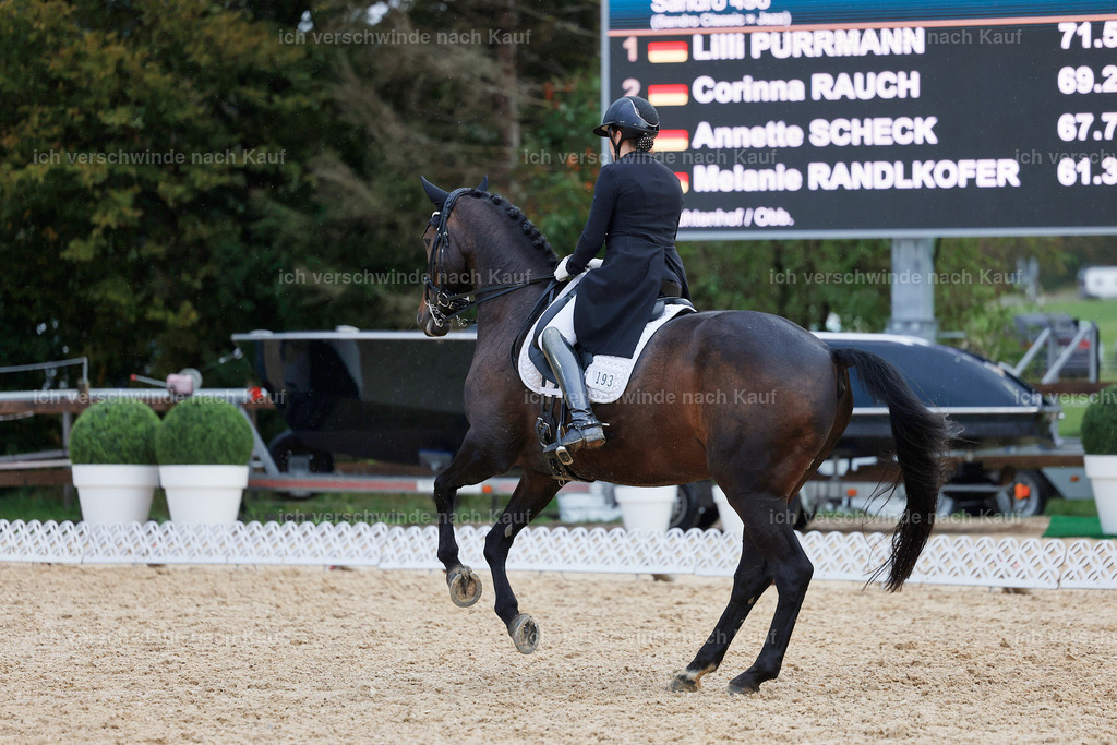 8_2-193-DRESSUR S_  -StoibPH-4518 | working equitationturnier fotograf videograf stoibphotography marixx film working equitation deutschland reitsport turnierfotografie eventfotografie equestrian events