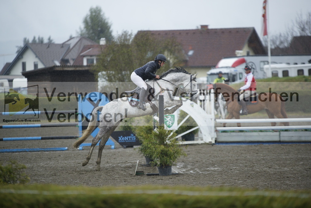 _DSC6235 | equestrian-live-com