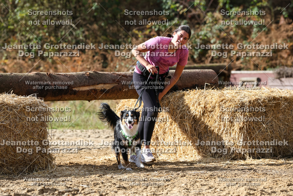 Dog Paparazzi - Strongdog 10-25-5062 | Dog Paparazzi Jeanette Grottendiek Fotografie & Videografie - Realisiert mit Pictrs.com