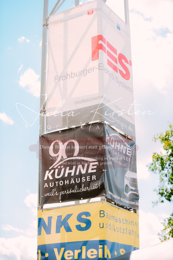 DSC_6407 | Pferde- und Turnierfotografie in Westsachsen. Pferdeportraits, Auftragszeichnungen und intuitive Kunst.