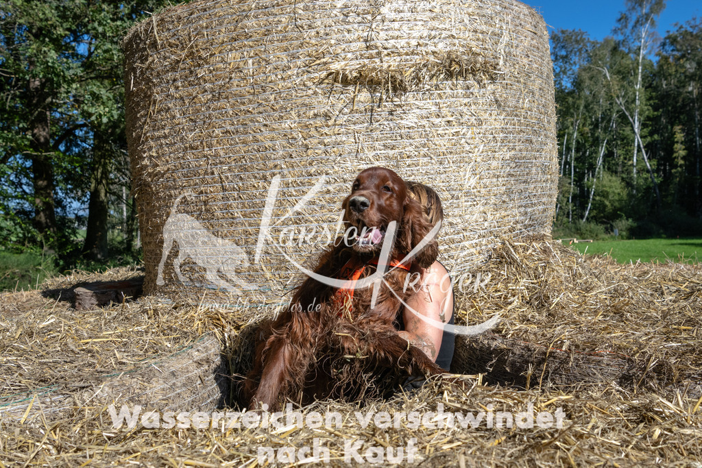 1205_ZZ90172-2 | kk-dogfotos
